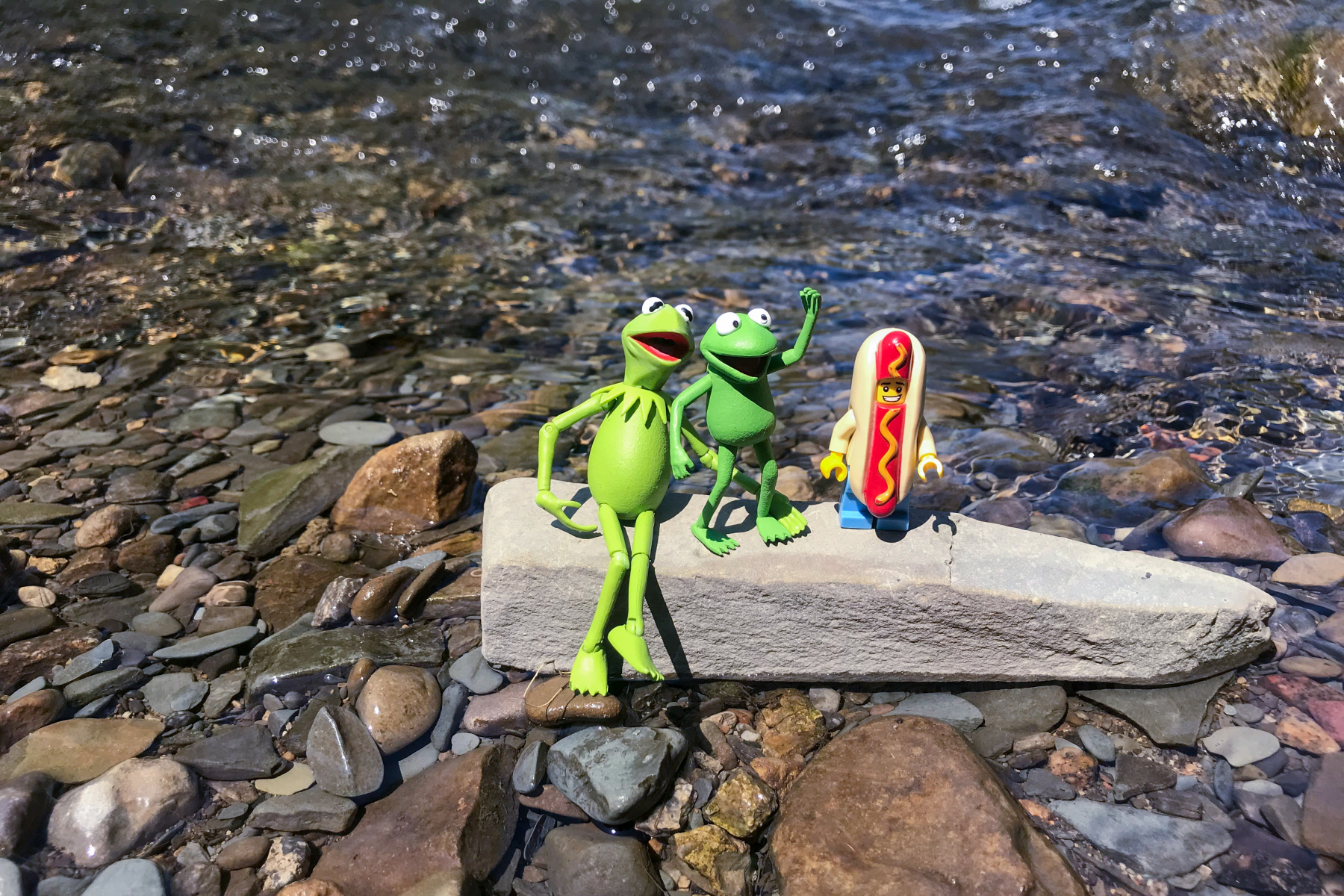 Kermit and Mr Hot Dog Lego Guy Hanging Out on A Creek
