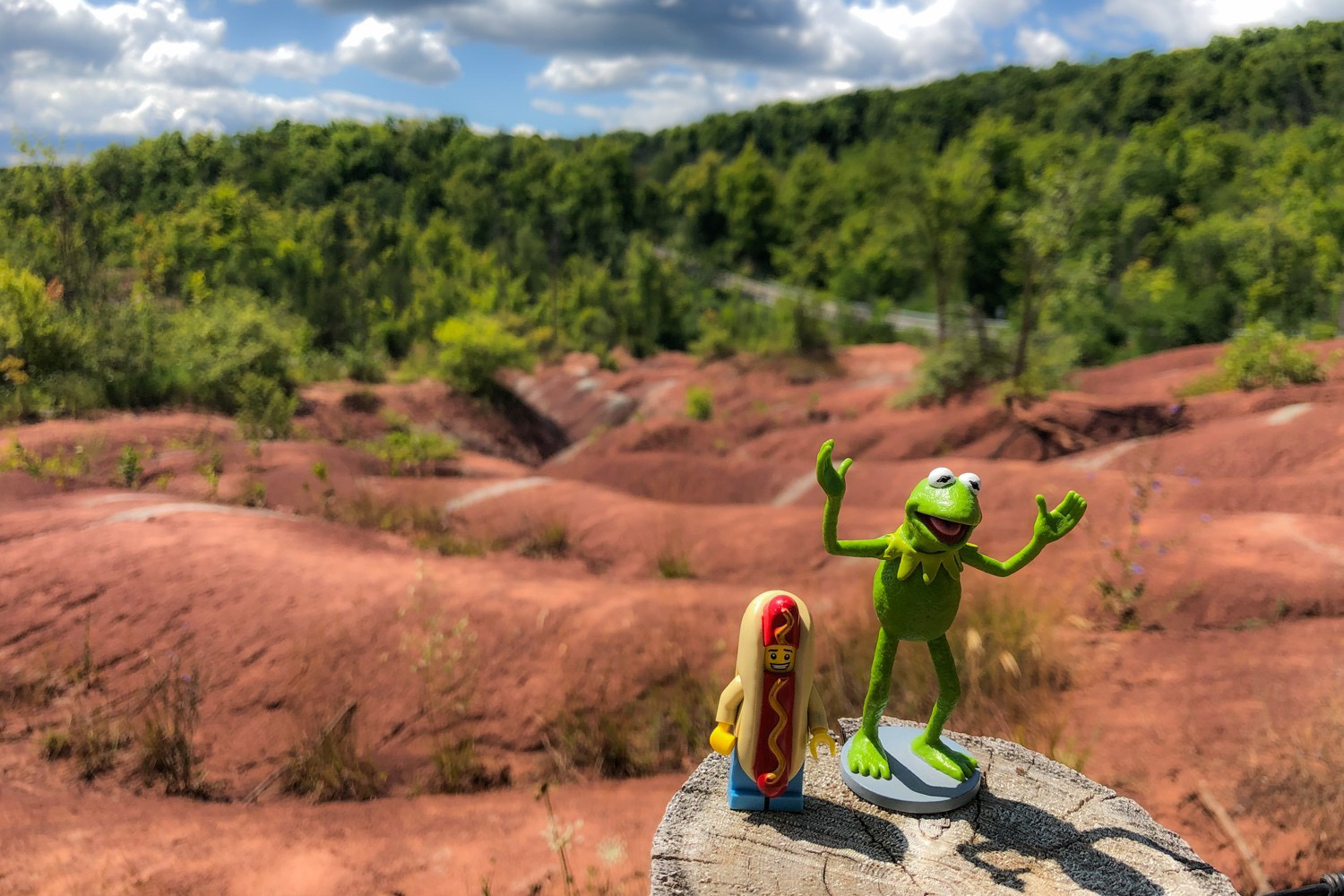 Kermit and Mr Hot Dog Lego Guy at Cheltenham Badlands
