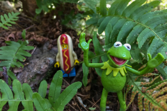 Kermit and Mr Hot Dog Lego Guy check out An Island on Sydenham L