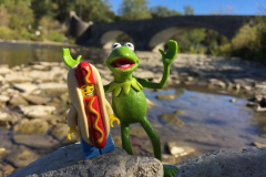 Kermit and Mr Hot Dog Lego Guy Walk Along The Humber River by th