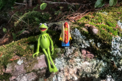 Kermit and Mr Hot Dog Lego Guy Resting After A Long Walk In The