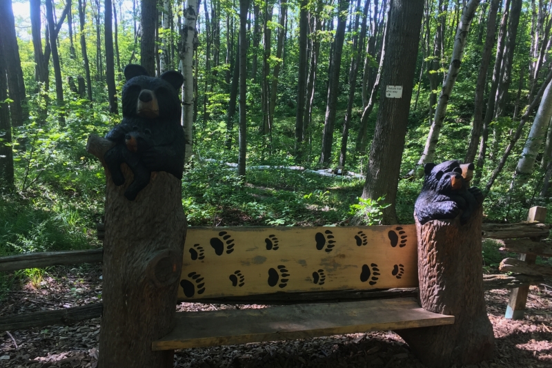 54Scenic Caves Blue Mountains Ontario Canada