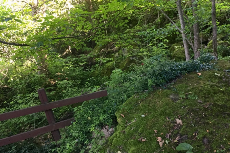 Scenic Caves Blue Mountains Ontario Canada