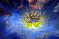 Chihuly Garden and Glass in Seattle Washington