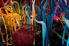 Chihuly Garden and Glass in Seattle Washington