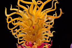 Chihuly Garden and Glass in Seattle Washington