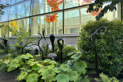 Chihuly Garden and Glass in Seattle Washington