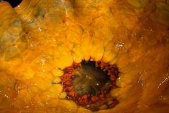 Chihuly Garden and Glass in Seattle Washington