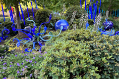 Chihuly Garden and Glass in Seattle Washington