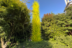 Chihuly Garden and Glass in Seattle Washington