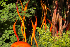 Chihuly Garden and Glass in Seattle Washington