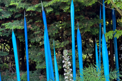 Chihuly Garden and Glass in Seattle Washington