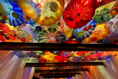 Chihuly Garden and Glass in Seattle Washington