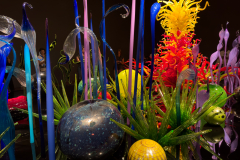 Chihuly Garden and Glass in Seattle Washington
