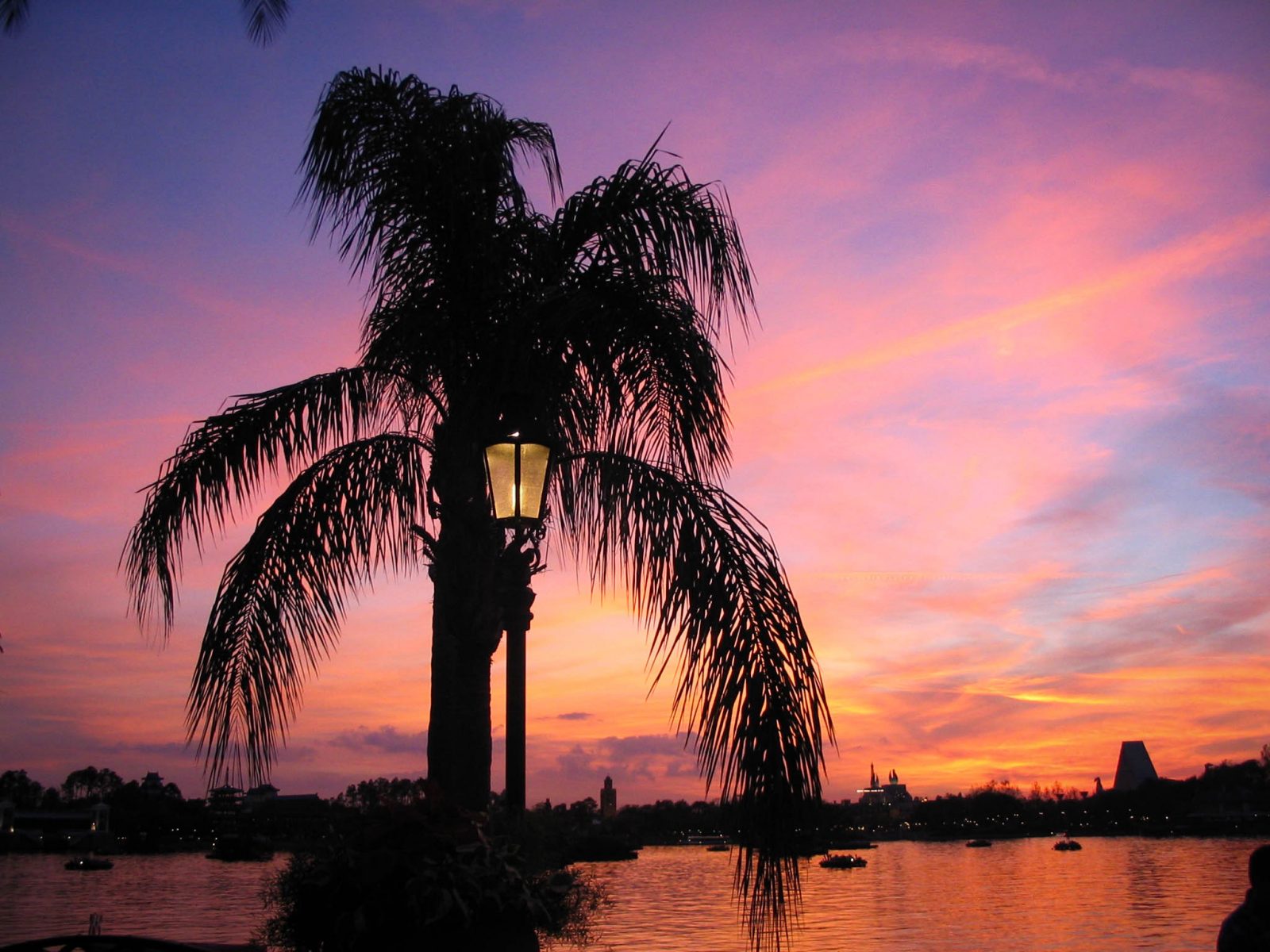 Epcot Palm sunset