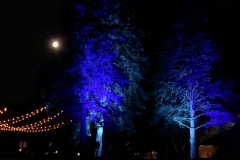 Terra Lumina