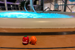 Dave and Kyle check out a Hot Tub on Royal Caribbean Oasis of th
