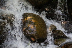 Waterfalls