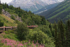 White Pass Railroad Trains